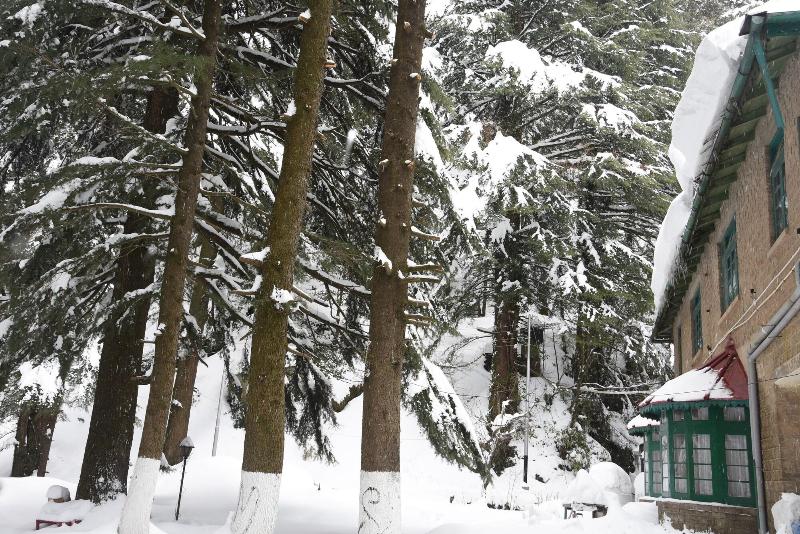 Photo of Brij Villa, Dalhousie - A Colonial Luxury Retreat, 4-star hotel in Dalhousie (and vicinity)