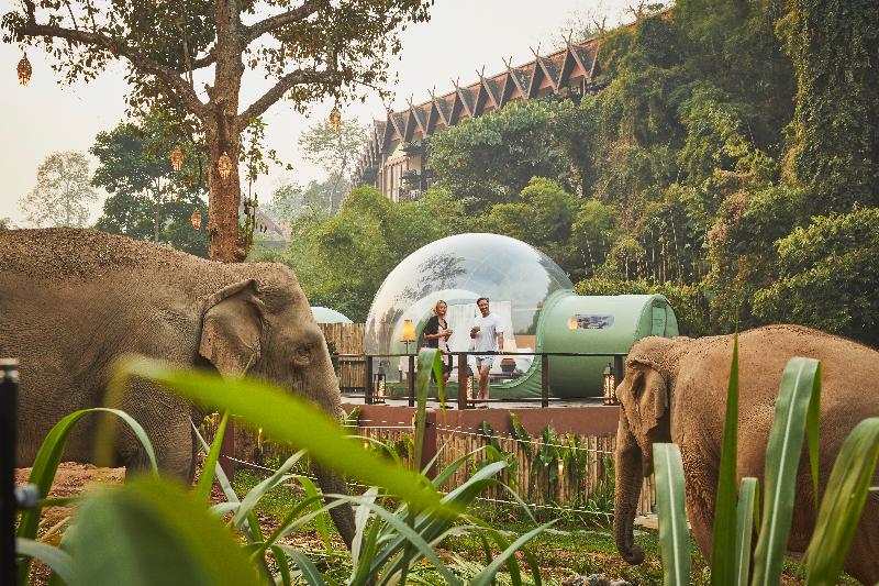 Anantara Golden Triangle Elephant Camp & Resort, 5-star hotel in Chiang Rai (province)