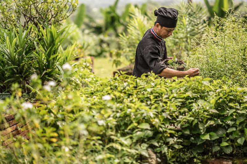 Photo of Anantara Golden Triangle Elephant Camp & Resort, 5-star hotel in Chiang Rai (province)