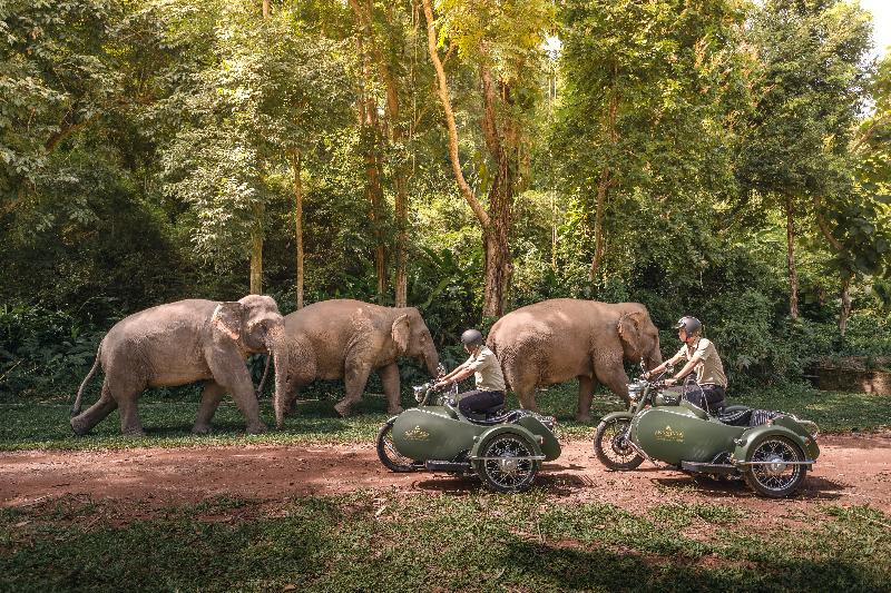 Photo of Anantara Golden Triangle Elephant Camp & Resort, 5-star hotel in Chiang Rai (province)