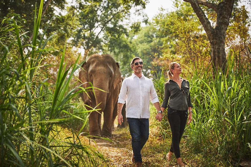 Photo of Anantara Golden Triangle Elephant Camp & Resort, 5-star hotel in Chiang Rai (province)