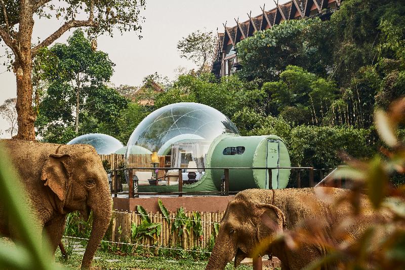 Photo of Anantara Golden Triangle Elephant Camp & Resort, 5-star hotel in Chiang Rai (province)