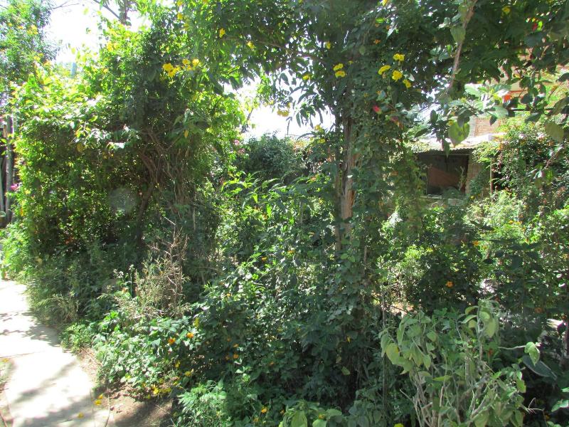 Photo of Hotel Zen, 5-star hotel in Chhatarpur