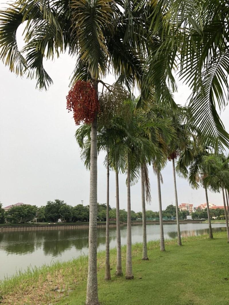 Photo of Prajaktra Design Hotel, 4-star hotel in Ban Luam