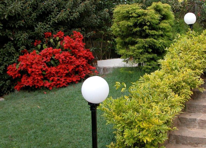 Photo of Hotel Coorg International, 3-star hotel in Madikeri