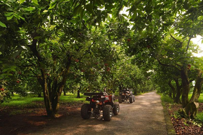 Photo of The Westin Desaru Coast Resort, 5-star hotel in Bandar Penawar