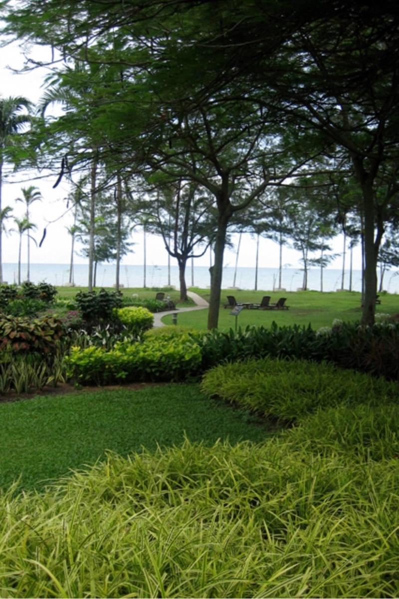 Photo of Miri Marriott Resort & Spa, 5-star hotel in Miri