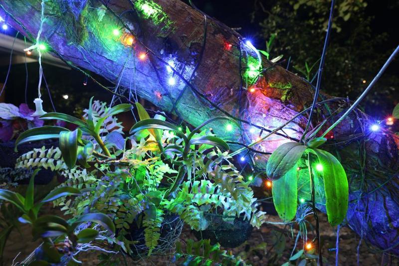 Photo of 67th Heaven Holiday Resort, 4-star hotel in Palawan (province)