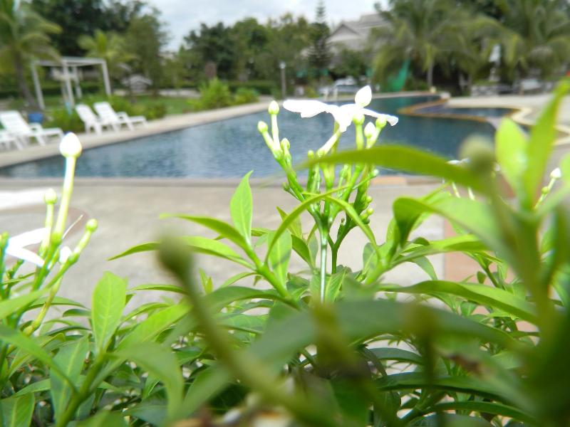 Photo of Iyara Resort, 3-star hotel in Chumphon