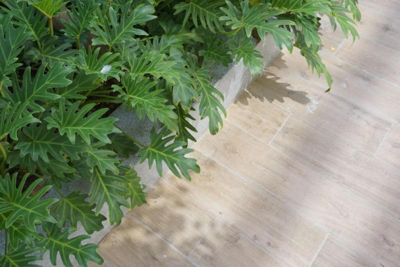 Photo of CHERN Bangkok, 3-star hotel in Bangkok (and vicinity)