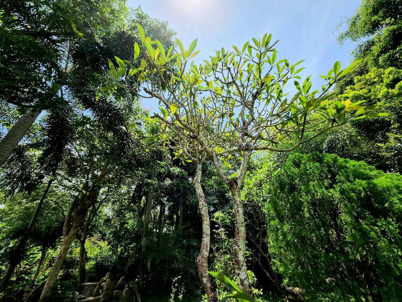 Photo of Kata Garden Resort, 3-star hotel in Karon Beach