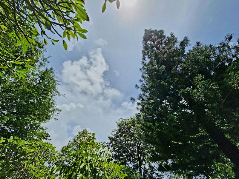 Photo of Kata Garden Resort, 3-star hotel in Karon Beach