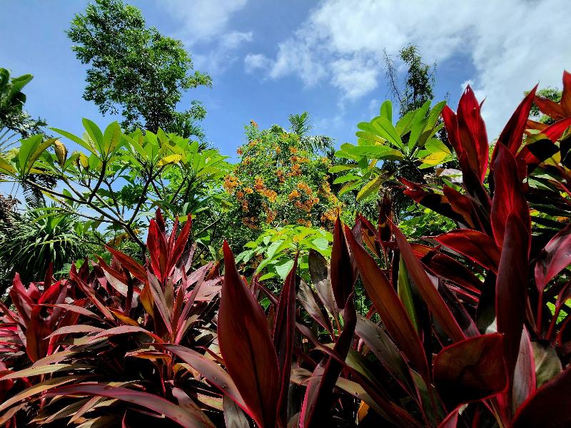 Photo of Kata Garden Resort, 3-star hotel in Karon Beach