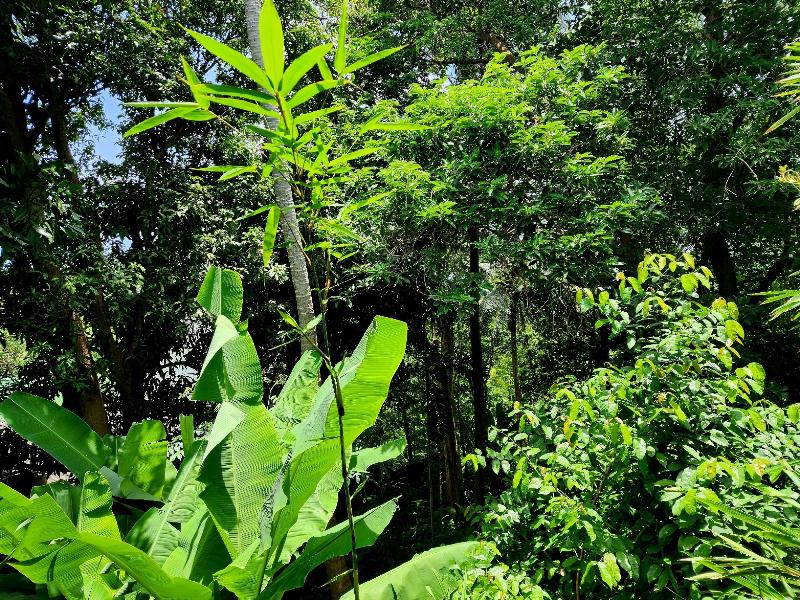 Photo of Kata Garden Resort, 3-star hotel in Karon Beach