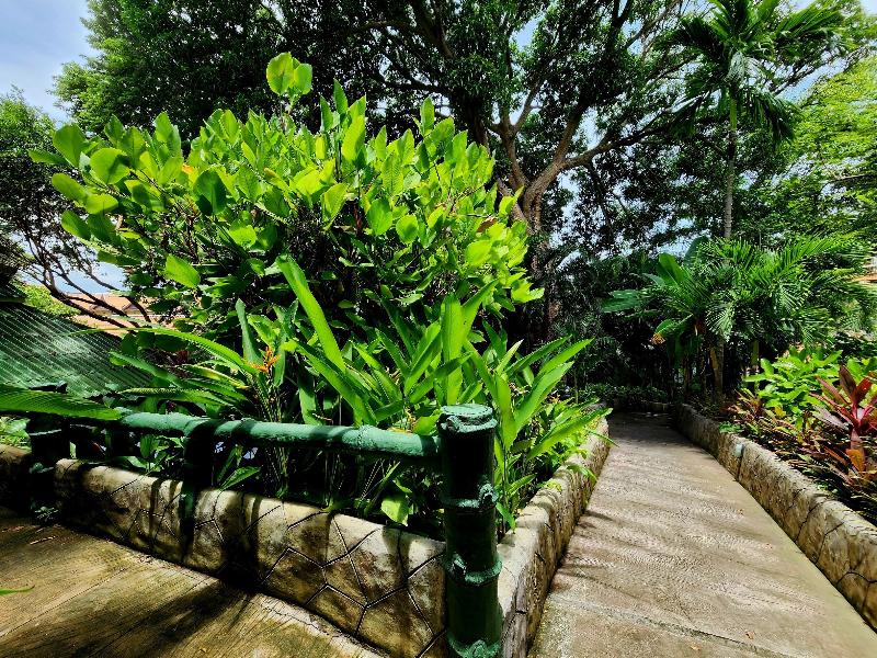 Photo of Kata Garden Resort, 3-star hotel in Karon Beach