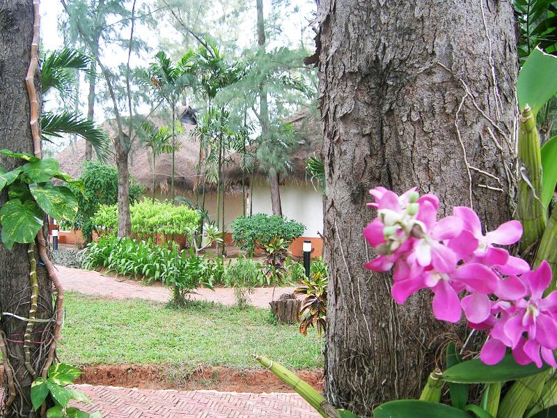 Photo of Lawana Escape Beach Resort, 3-star hotel in Bo Fai