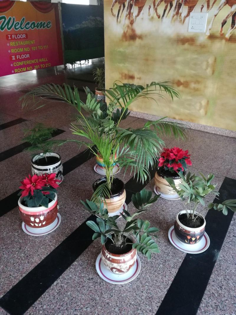 Photo of Hotel Dhanraj Palace, 3-star hotel in Bharatpur