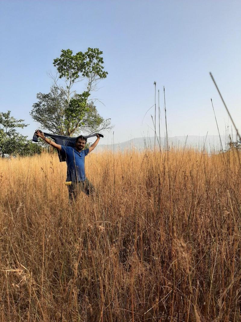 Photo of Jungle Valley Agriculture Resort, 3-star hotel in Mahabaleshwar (and vicinity)