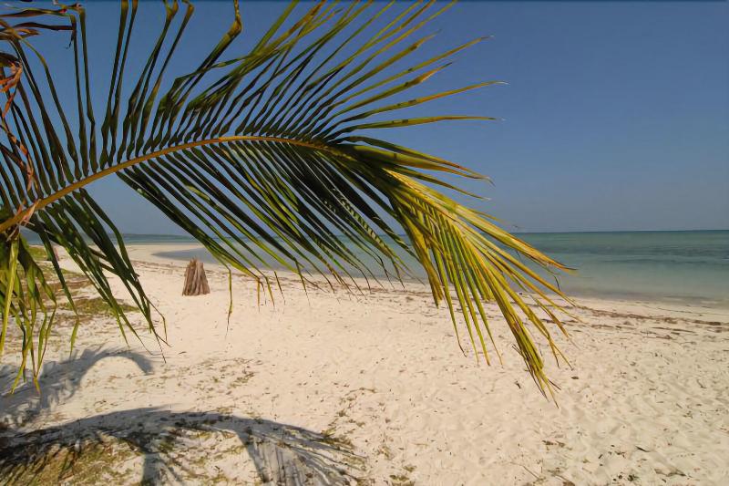 Photo of SilverSand Beach Resort, 5-star hotel in Havelock Island