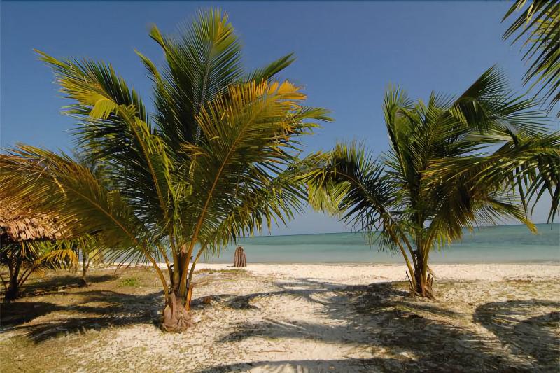 Photo of SilverSand Beach Resort, 5-star hotel in Havelock Island