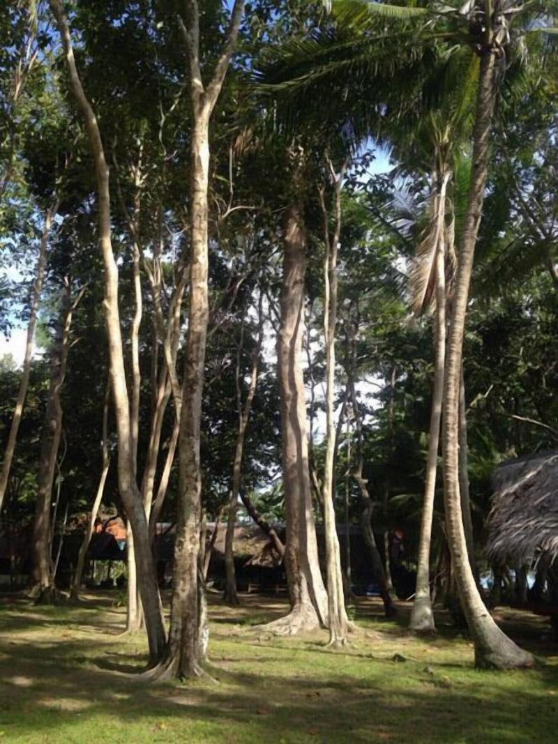 Photo of Joy Bungalow, 3-star hotel in Krabi - Trang (provinces)