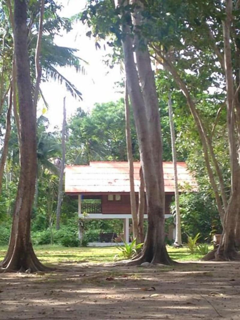 Photo of Joy Bungalow, 3-star hotel in Krabi - Trang (provinces)