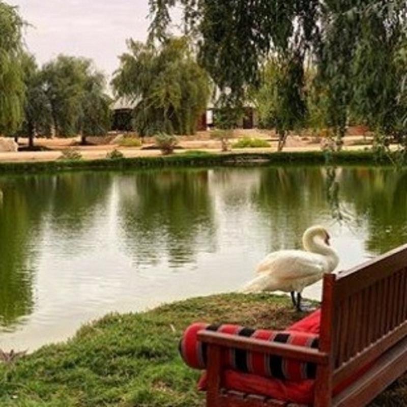 Photo of Telal Resort, Al Ain, 5-star hotel in Abu Dhabi