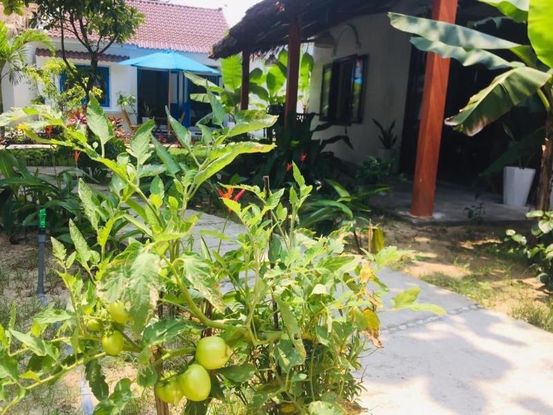 Hoi An Blue Seaside Homestay, Singapore