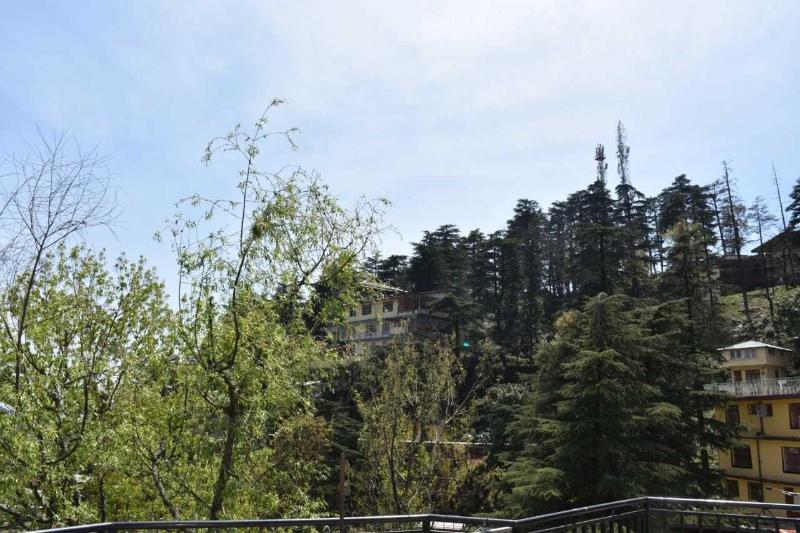 Photo of Hotel Misty Woods, 3-star hotel in Dharamshala