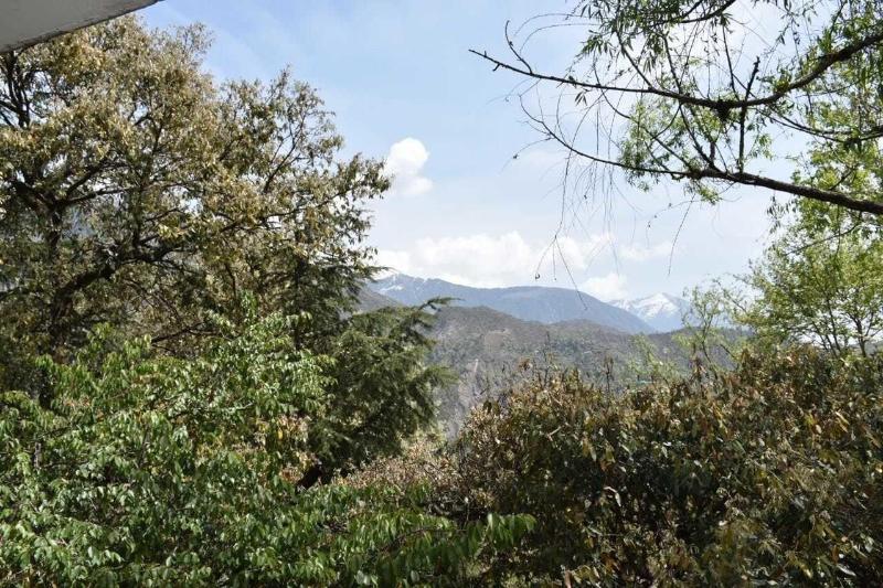 Photo of Hotel Misty Woods, 3-star hotel in Dharamshala