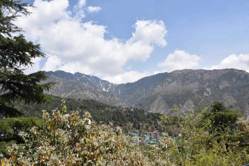 Photo of Hotel Misty Woods, 3-star hotel in Dharamshala