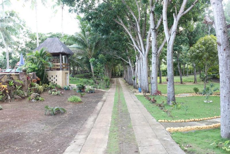 Photo of Blue Star Dive & Resort hotel in Anda