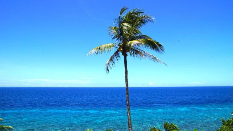 Photo of Blue Star Dive & Resort hotel in Anda