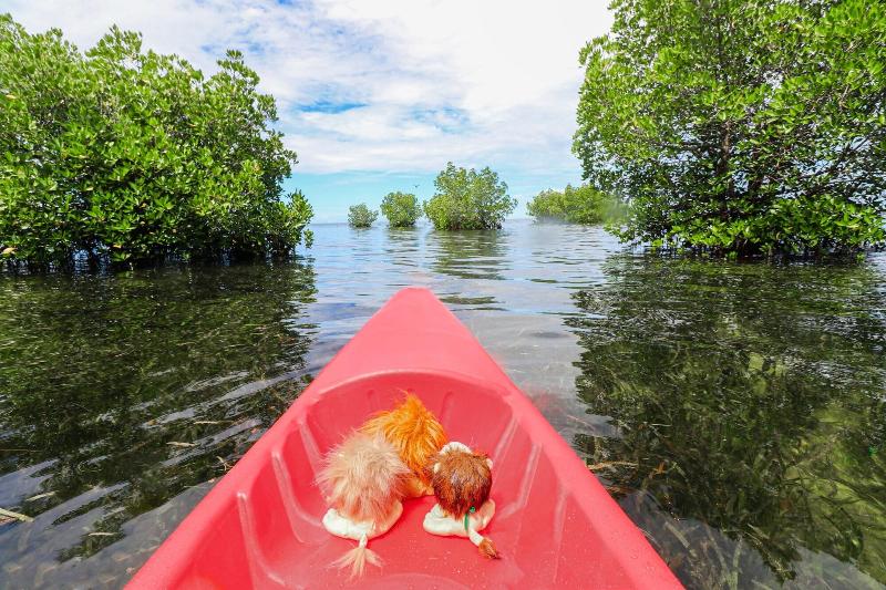 Photo of The Funny Lion - Puerto Princesa, 4-star hotel in Puerto Princesa City Centre