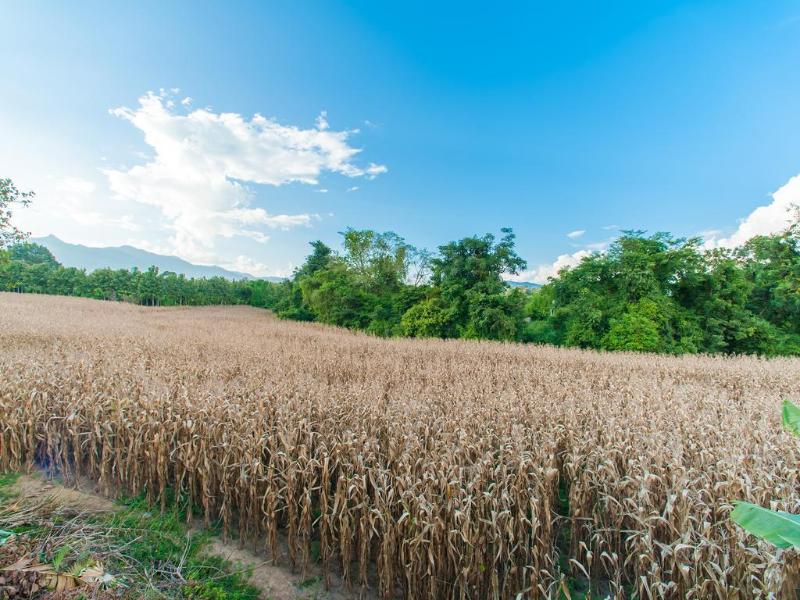 Photo of Baan Chokdee Pai Resort, 3-star hotel in Mae Hong Son (province)