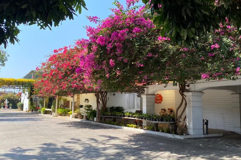 Photo of Delio Boutique Hotel, 3-star hotel in Udon Thani