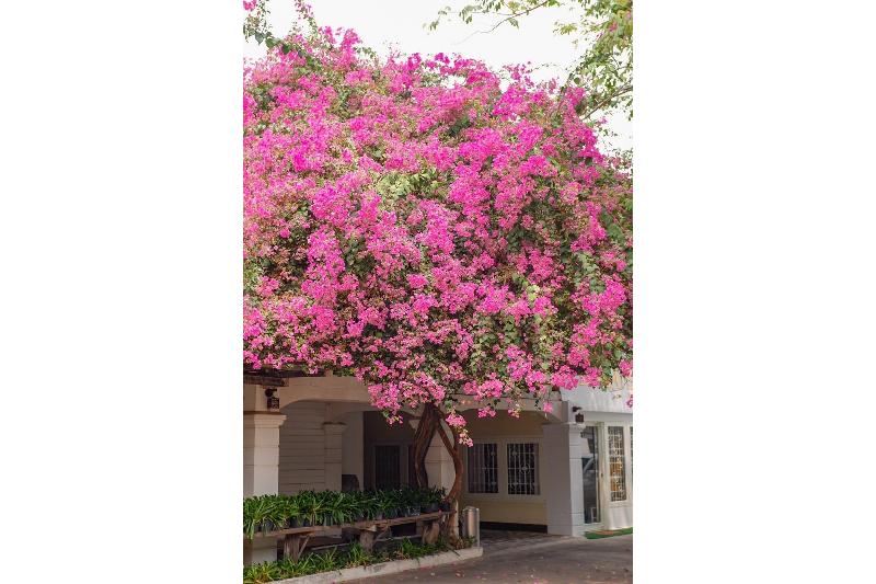 Photo of Delio Boutique Hotel, 3-star hotel in Udon Thani