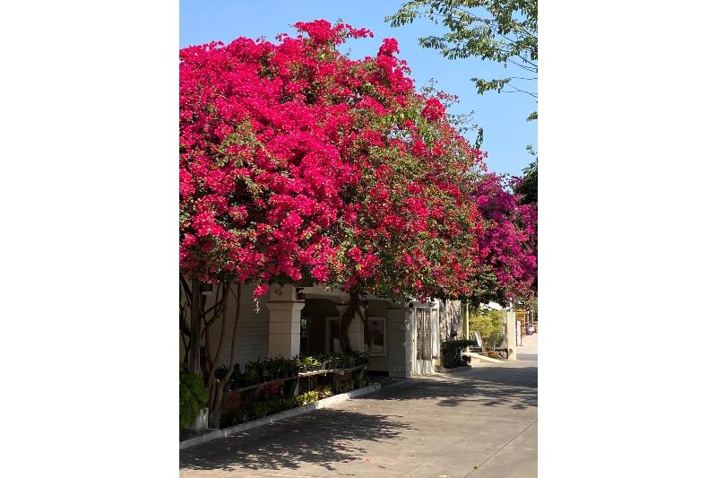 Photo of Delio Boutique Hotel, 3-star hotel in Udon Thani