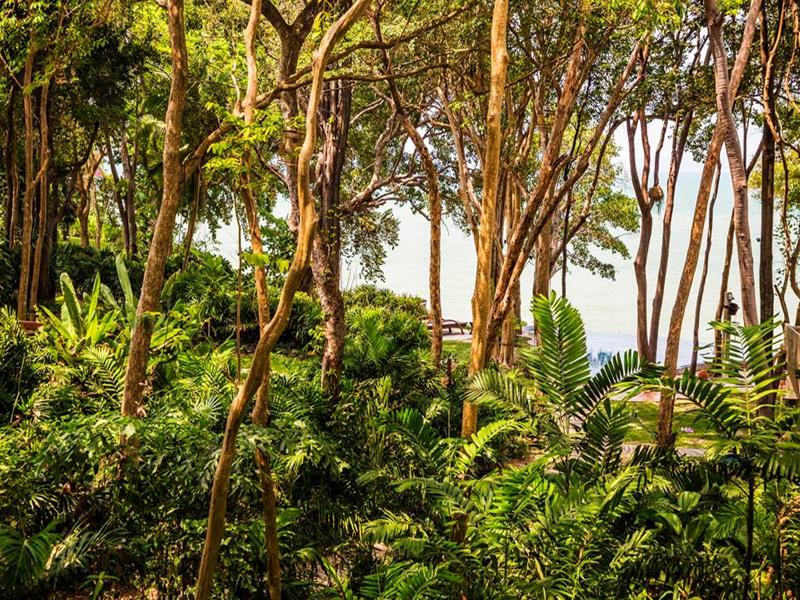 Photo of The Monttra Pattaya, 4-star hotel in Pattaya (and vicinity)