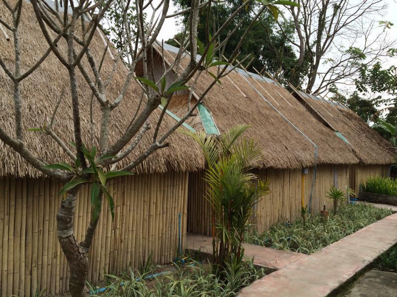 Photo of Pai Vintage Garden Resort, 3-star hotel in Mae Hong Son (province)