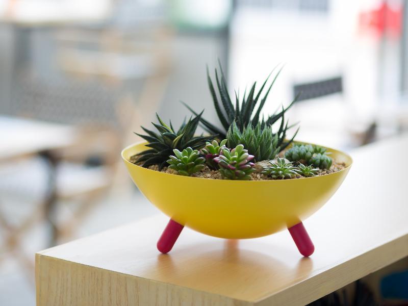 Photo of M2 Hotel, 3-star hotel in Phayao