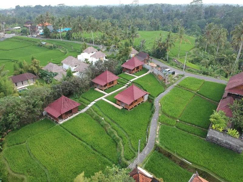 Ubud Sawah Homestay, Singapore