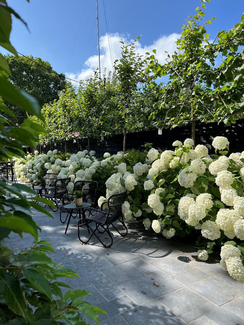 Photo of Poorter Boutique Hotel, 4-star hotel in Rotterdam (and vicinity)