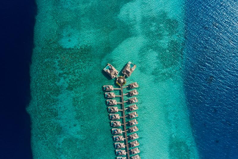 Seaside Finolhu Baa Atoll Maldives, Singapore