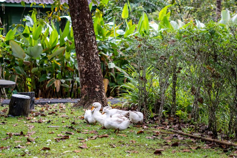 Photo of 	Blu Monkey Pooltara Krabi Hotel & Villas, 4-star hotel in Krabi