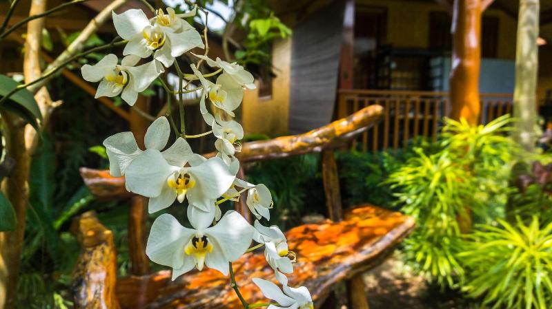 Photo of CED Farm, 2-star hotel in El Nido