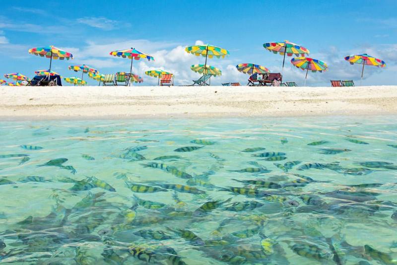 Photo of Phaithong Sotel Resort hotel in Phuket (and vicinity)