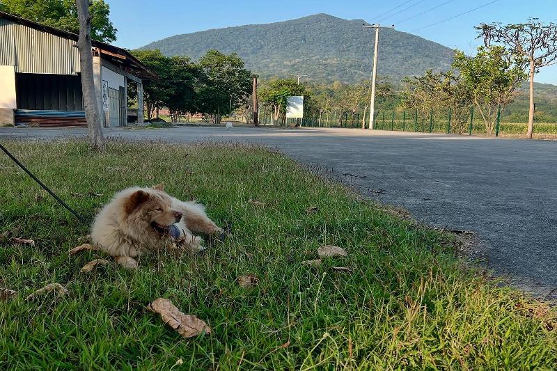 Photo of Hillside Hotel, 2-star hotel in San Jose