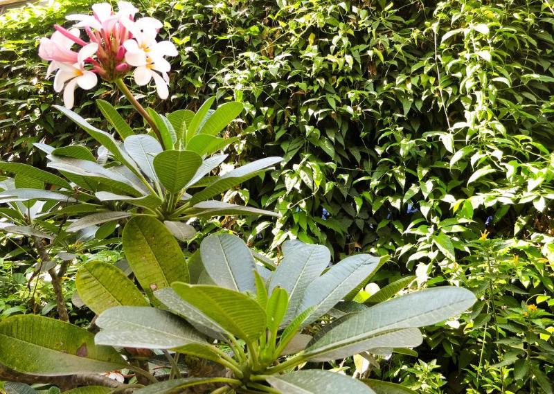 Photo of Baan Sood Soi Residence 1, 3-star hotel in Arun Amarin