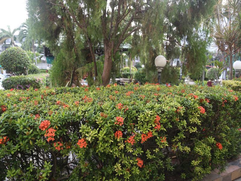 Photo of Romeo Palace, 3-star hotel in North Pattaya